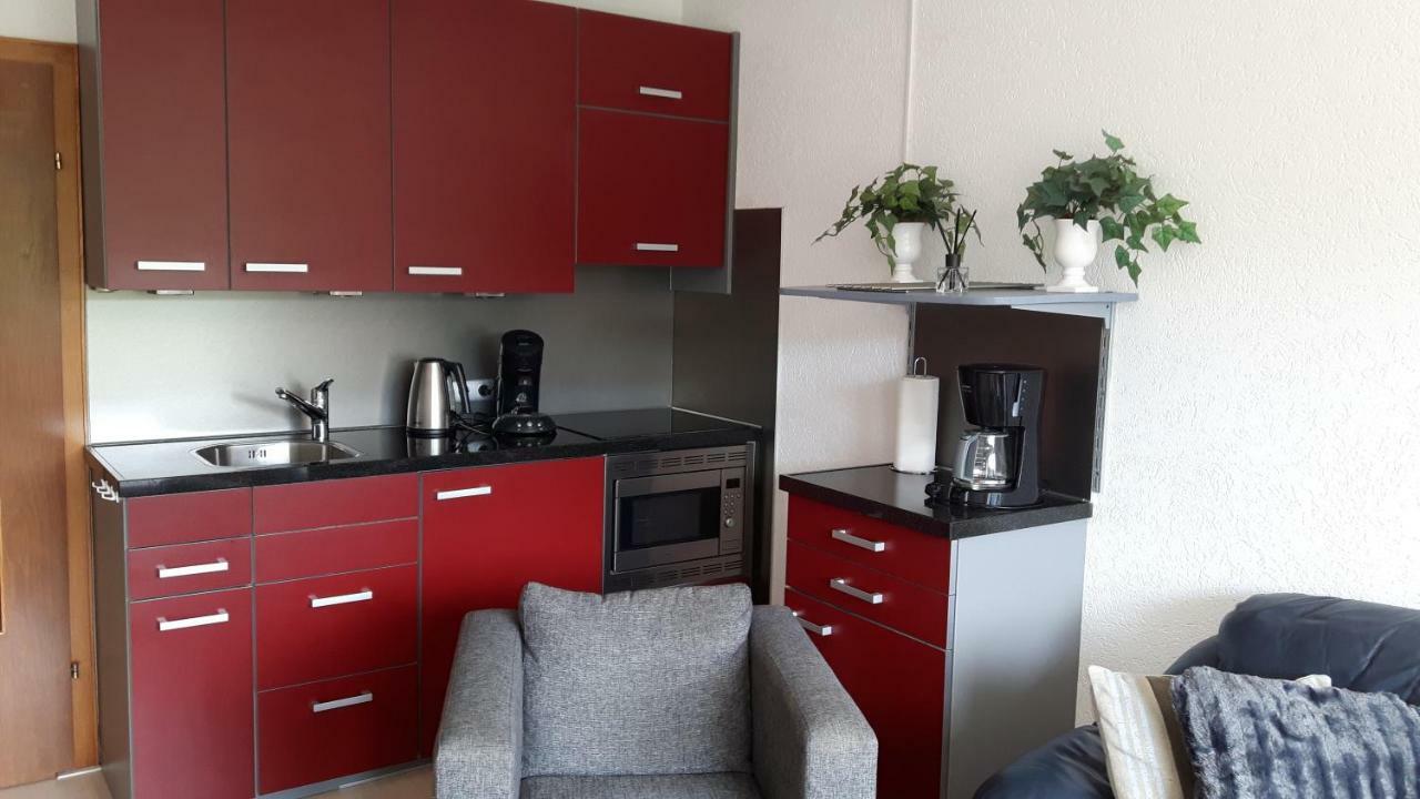Gemuetlicher Ferienwohnung In Niedersfeld Bei Winterberg, Kostenloses Wlan Kültér fotó